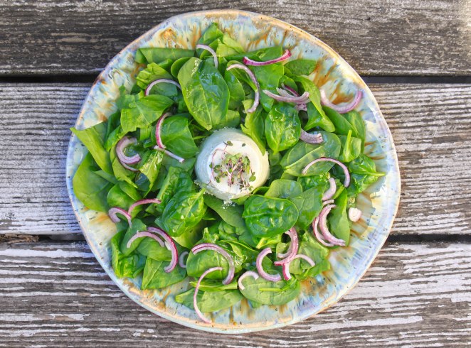 Blubb_Grünkohlpanacotta_1s