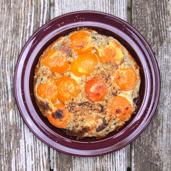 AprikosenMohnQuark2-xs