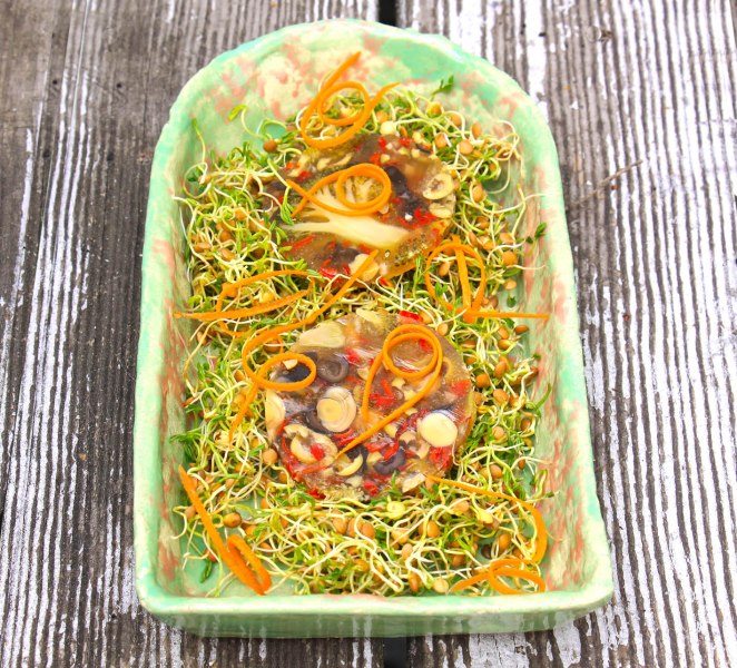 GemüseBalsamicoAspik-xs